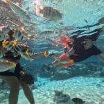 3H Adventure in JET SKI Snorkeling and Tahaa Lagoon - Why We Love This Tour