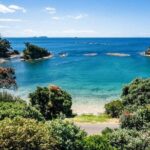 4.5-Hour Scenic Wine Tour with Private Guide & Up to 12 Tastings - What You’ll Experience: In Detail