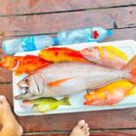 4 Hour Ariki Fishing Activity in Moorea - The Sum Up: Is the 4-Hour Ariki Fishing Tour Worth It?