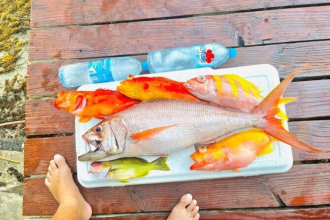 4 Hour Ariki Fishing Activity in Moorea - The Sum Up: Is the 4-Hour Ariki Fishing Tour Worth It?