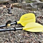 4-hour Lake Mapourika Kayak and Hike adventure, with Okarito Kiwi Sanctuary - The Value of This Tour