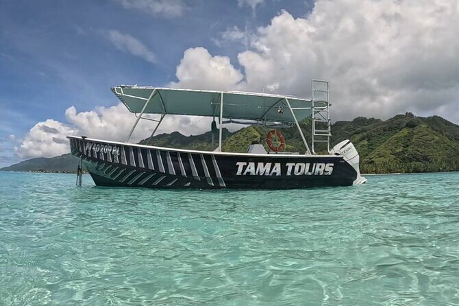 4 Hour Private Humpback Whales Encounter in Moorea - FAQs