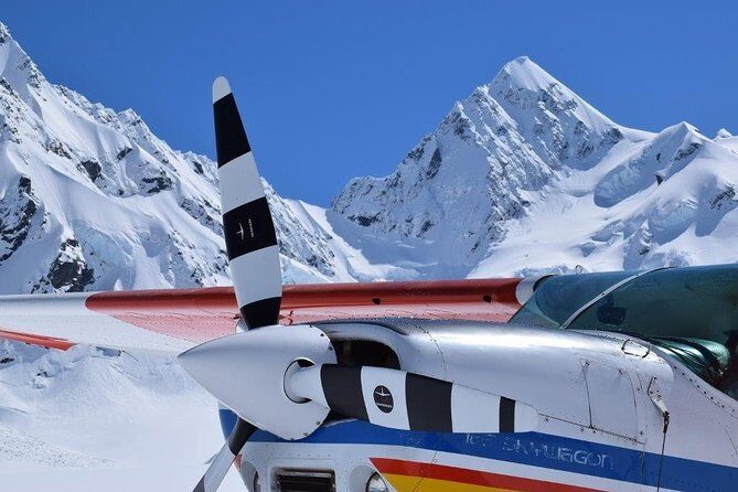 45-Minute Glacier Highlights Ski Plane Tour from Mount Cook - Why Reviewers Love It