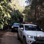 4WD Guided Day Trip In D'Aguilar National Park - What’s Included and What You Need to Know
