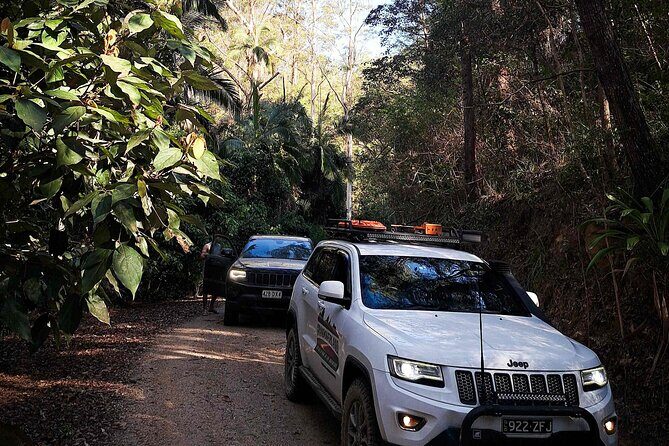 4WD Guided Day Trip In D'Aguilar National Park - What’s Included and What You Need to Know