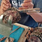4x4 Tour  Culture, Crafts and Agritourism in Raiatea - Practical Aspects