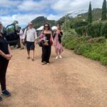 5 or 7 hour Far End of Waiheke Scenic Wine Tour in Electric Vans - Authentic Experiences and Genuine Value