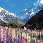 6-Day South Island Southern Heritage Tour from Christchurch - What Makes This Tour Stand Out?