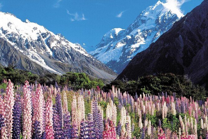 6-Day South Island Southern Heritage Tour from Christchurch - What Makes This Tour Stand Out?