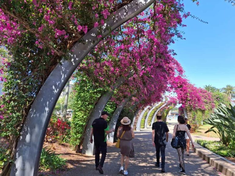 6 Hour Welcome to Brisbane Private Sightseeing Private Tour - What Makes This Tour Stand Out?