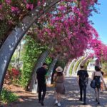 6 Hours Brisbane Private Tour  Popular Sights in One Day - The Bottom Line