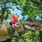 6 Hours Giant Zipline Adventure Park in Fiji - Who Will Love This Adventure?