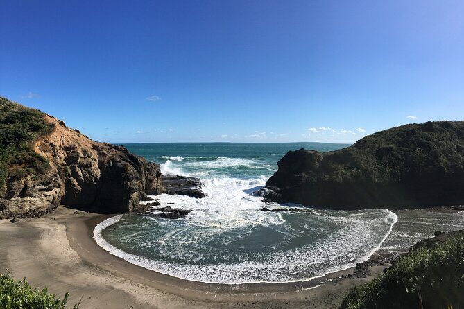 6 Hours Sightseeing Tour in Auckland - The Authentic Experiences That Shine