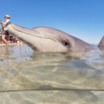 7-Day Exmouth Explorer via Pinnacles Monkey Mia Ningaloo Reef returning to Perth - What Travelers Say About This Tour