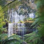 7-Day Super Value Tour of Tasmania: Explore Tasmania's West and East Coasts - What This Tour Means for You