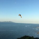 8-Hour Private Scenic Kapiti Coast Tour from Wellington - The Itinerary in Detail