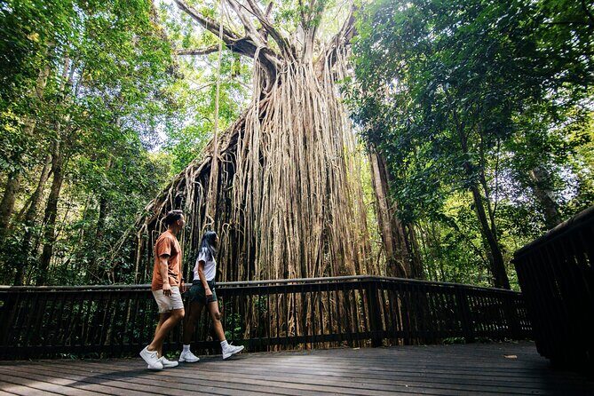 9 Day Brisbane to Daintree Whitsundays Great Barrier Reef Comfort - Who Might Love This Tour?