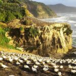 9 Day South to North Island NZ Private Tour from Queenstown - Majestic Mount Cook and Tekapo’s Serenity