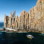 90 minute Cape Raoul Cruise and Port Arthur Historic Site entry - What Makes This Tour Stand Out?