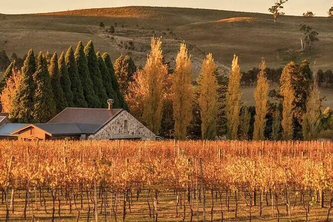 A Day In The Vineyards || Luxury Private Winery Tour From Sydney - The Itinerary: A Thorough Breakdown