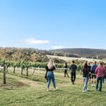 A Sense of Place a Wine Tasting Experience in Denmark - Why This Tour Offers Great Value
