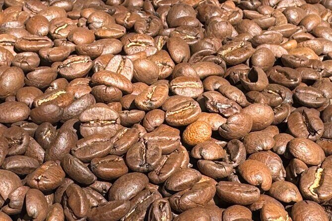 A Taste of Wellington: Wellington Foodie Delights Tour - The Sum Up