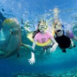 ABC Reef Safaris - Authentic Experiences & Real Guest Feedback