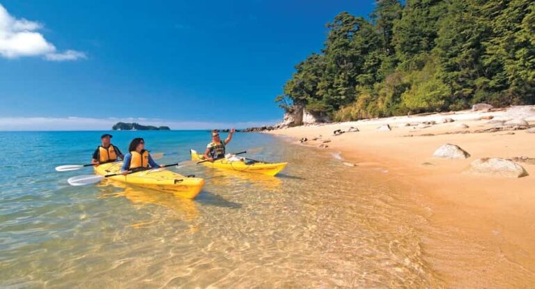 Abel Tasman Kayaks: 1 Day Freedom Kayak Rental - Detailed Review of the Experience