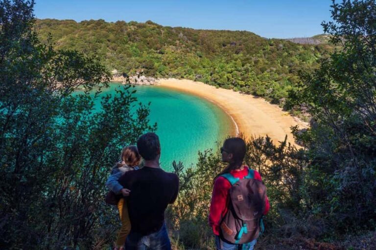 Abel Tasman National Park: Cruise and Hike Full-Day Tour - Key Points