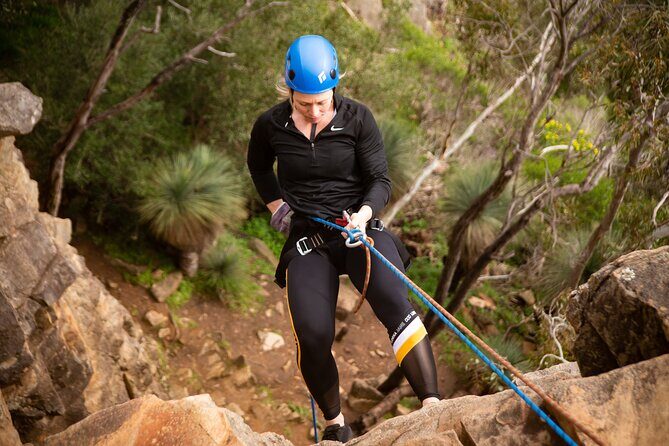 Abseiling Adventure in Adelaide - Analyzing the Value