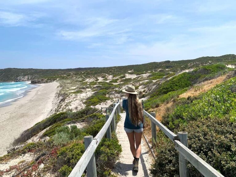 Adelaide: 3-Day Kangaroo Island Adventure Tour with Camping - The Value of This Tour: What You Get for $538