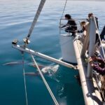 Adelaide: 4-Hour Guaranteed Wild Dolphin Watching Cruise - What the Reviews Reveal: Authentic Feedback