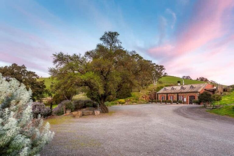 Adelaide: Barossa Private Wine Tour + Your Chosen Tastings - Who Should Consider This Tour?