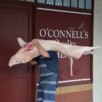 Adelaide Central Market Tour with Lunch - Who Will Love This Tour?