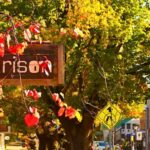 Adelaide City Highlights Half-Day Tour, Mt Lofty & Hahndorf - The Itinerary in Detail