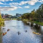Adelaide City Kayak Tour - What to Expect During the Tour