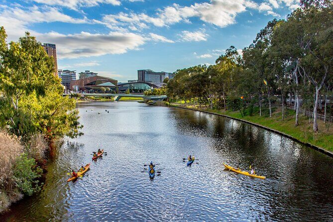 Adelaide City Kayak Tour - What to Expect During the Tour