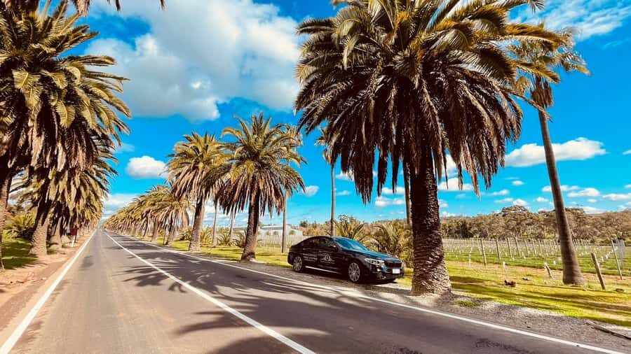 Adelaide Cruise Ship Tours - Practical Details: What to Know Before Booking