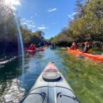 Adelaide Dolphin Sanctuary and Ships Graveyard Kayak Tour - Wildlife and Nature