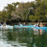 Adelaide: Dolphin Sanctuary Eco Kayaking Tour - Final Thoughts