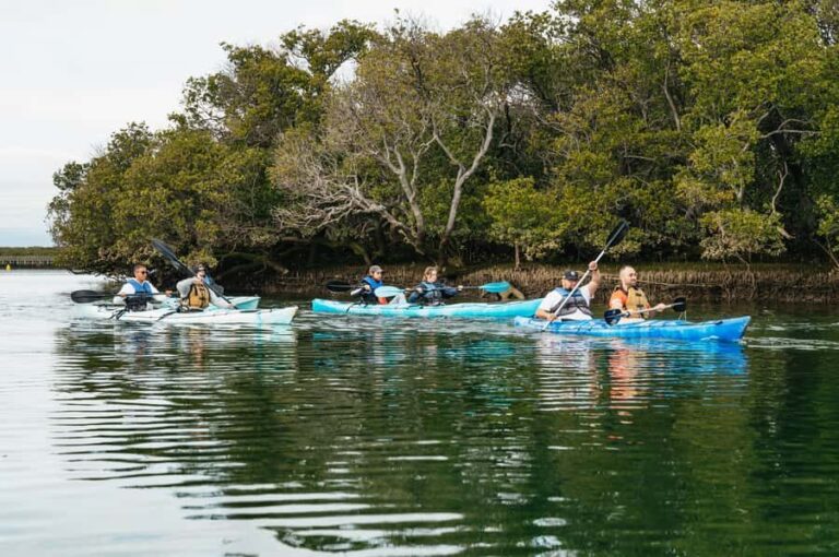 Adelaide: Dolphin Sanctuary Eco Kayaking Tour - Final Thoughts