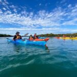 Adelaide: Dolphin Sanctuary Mangroves Kayak Tour - Practical Details and What to Bring