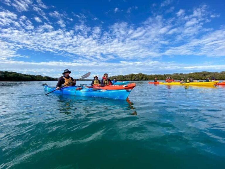 Adelaide: Dolphin Sanctuary Mangroves Kayak Tour - Practical Details and What to Bring