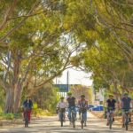 Adelaide: Electric Bike City Tour or Hire Only - Who Should Sign Up?
