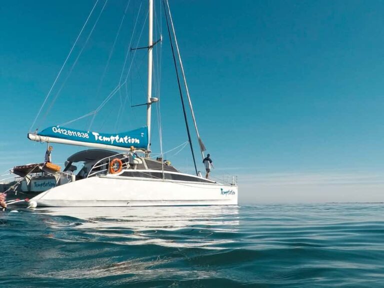 Adelaide: Glenelg Twilight Catamaran Cruise with Drink - The Value and Practicalities