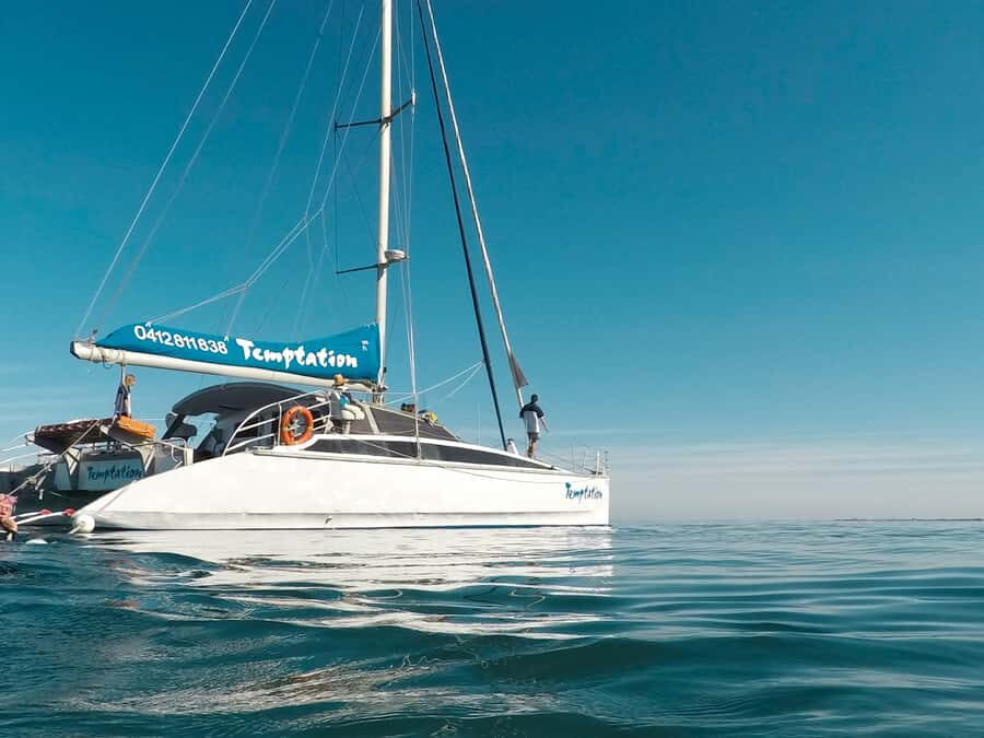 Adelaide: Glenelg Twilight Catamaran Cruise with Drink - The Value and Practicalities