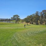 Adelaide: Hahndorf & Hills Wine and/or Gin Tour - A Deep Dive Into the Adelaide Hills Tour Experience