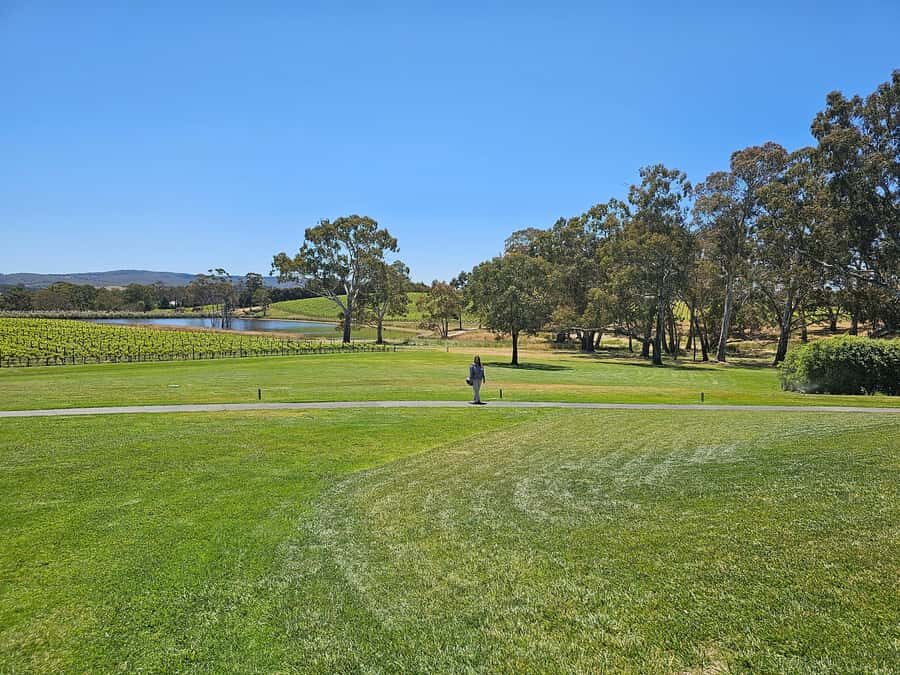 Adelaide: Hahndorf & Hills Wine and/or Gin Tour - A Deep Dive Into the Adelaide Hills Tour Experience