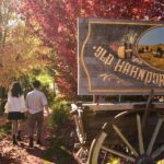 Adelaide: Highlights, Hahndorf & McLaren Vale Wine Tasting - What Makes This Tour Stand Out