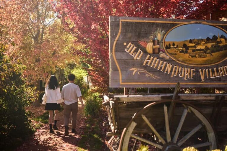 Adelaide: Highlights, Hahndorf & McLaren Vale Wine Tasting - What Makes This Tour Stand Out